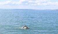 Karl beim schwimmen